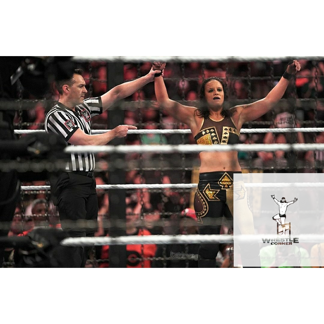 Wrestlecorner- Elimination Chamber