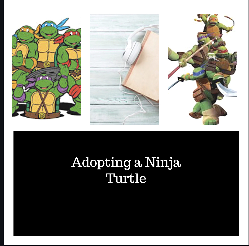 Ep. 4 - Turtles, Turtles, Everywhere