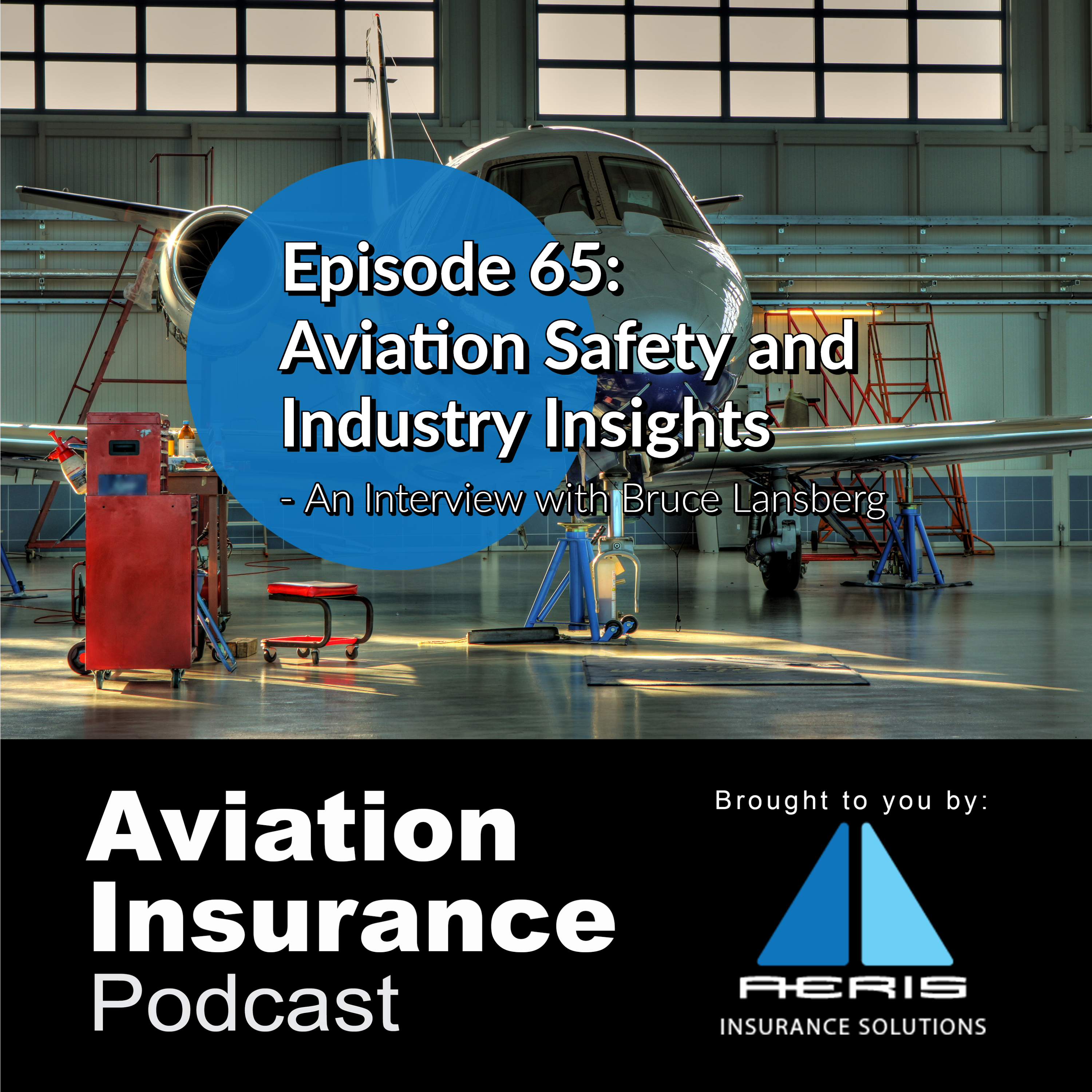 Episode 65: Aviation Safety and Industry Insights - An Interview with Bruce Landsberg