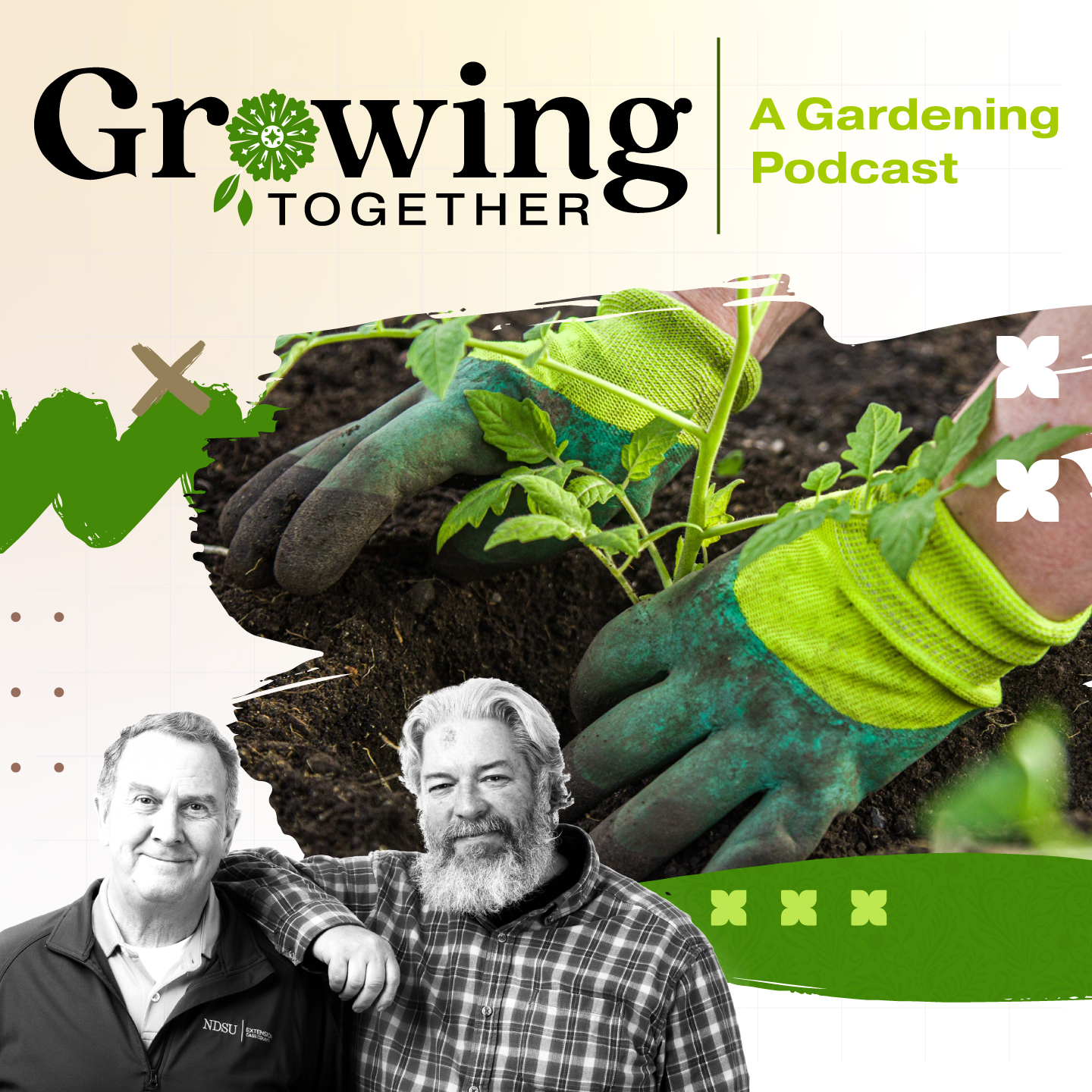 Some advice for planning the layout of your yard and garden