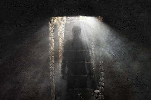 Shorely A Mystery: Ghostly Animals Pt1