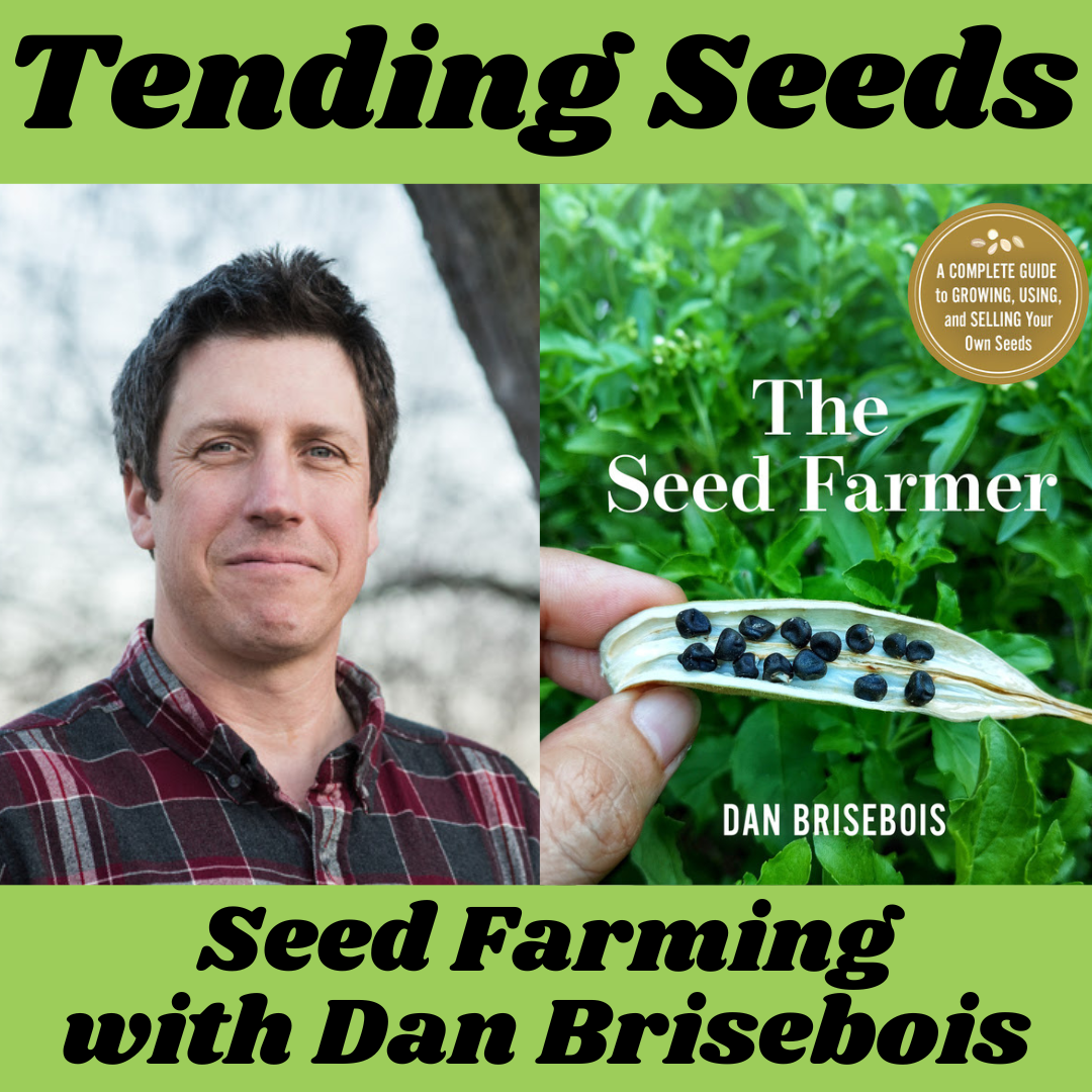 Tending Seeds: Adventures in Gardening, Homesteading, and Herbalism