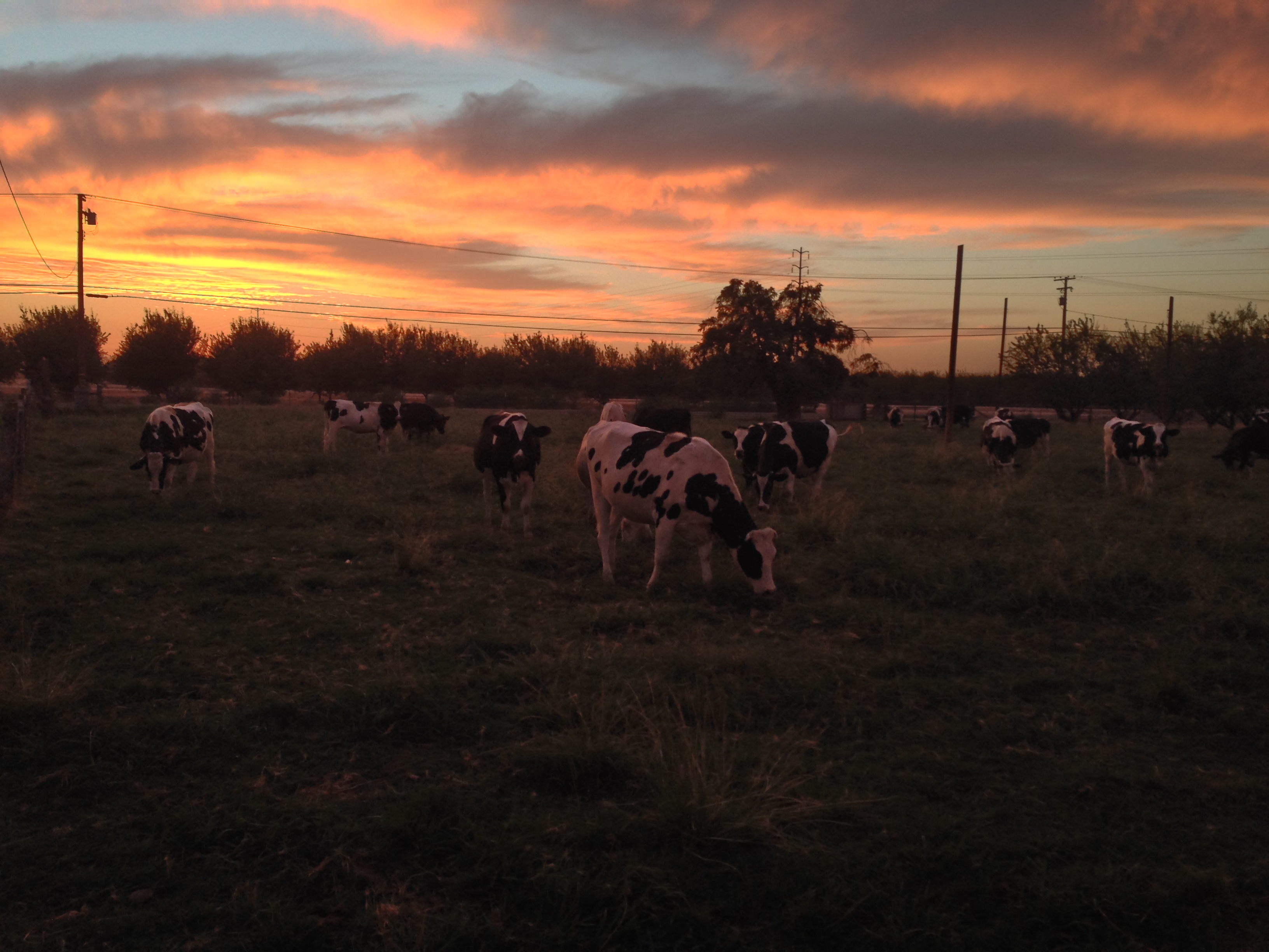 Off-Farm Income
