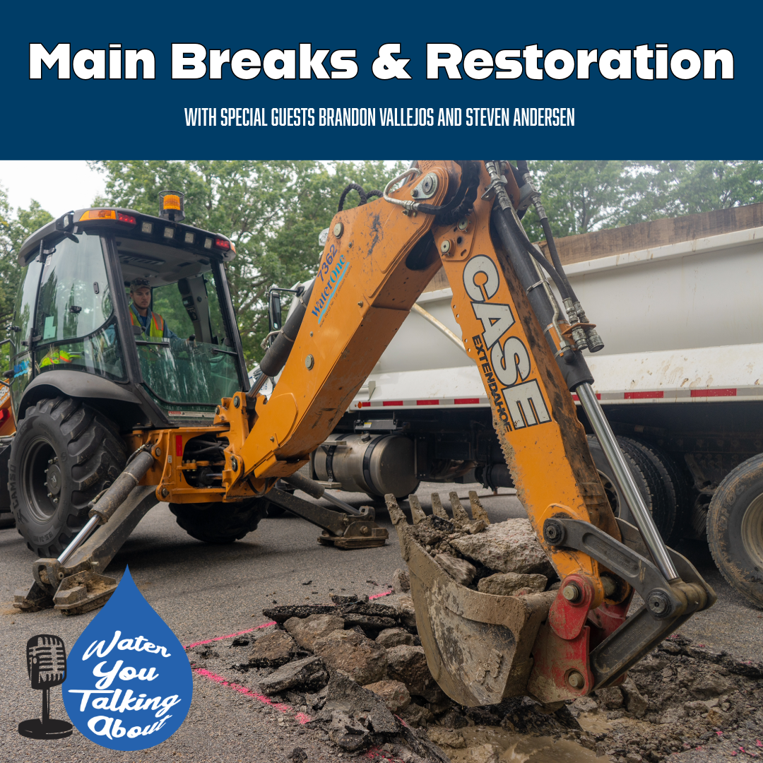 Main Breaks & Restoration