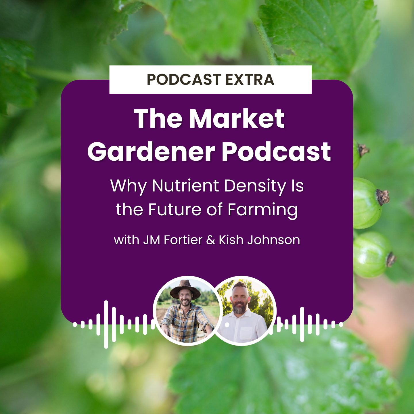 cover of episode Podcast Extra: The Market Gardener Podcast - Why Nutrient Density Is the Future of Farming with JM Fortier and Kish Johnson