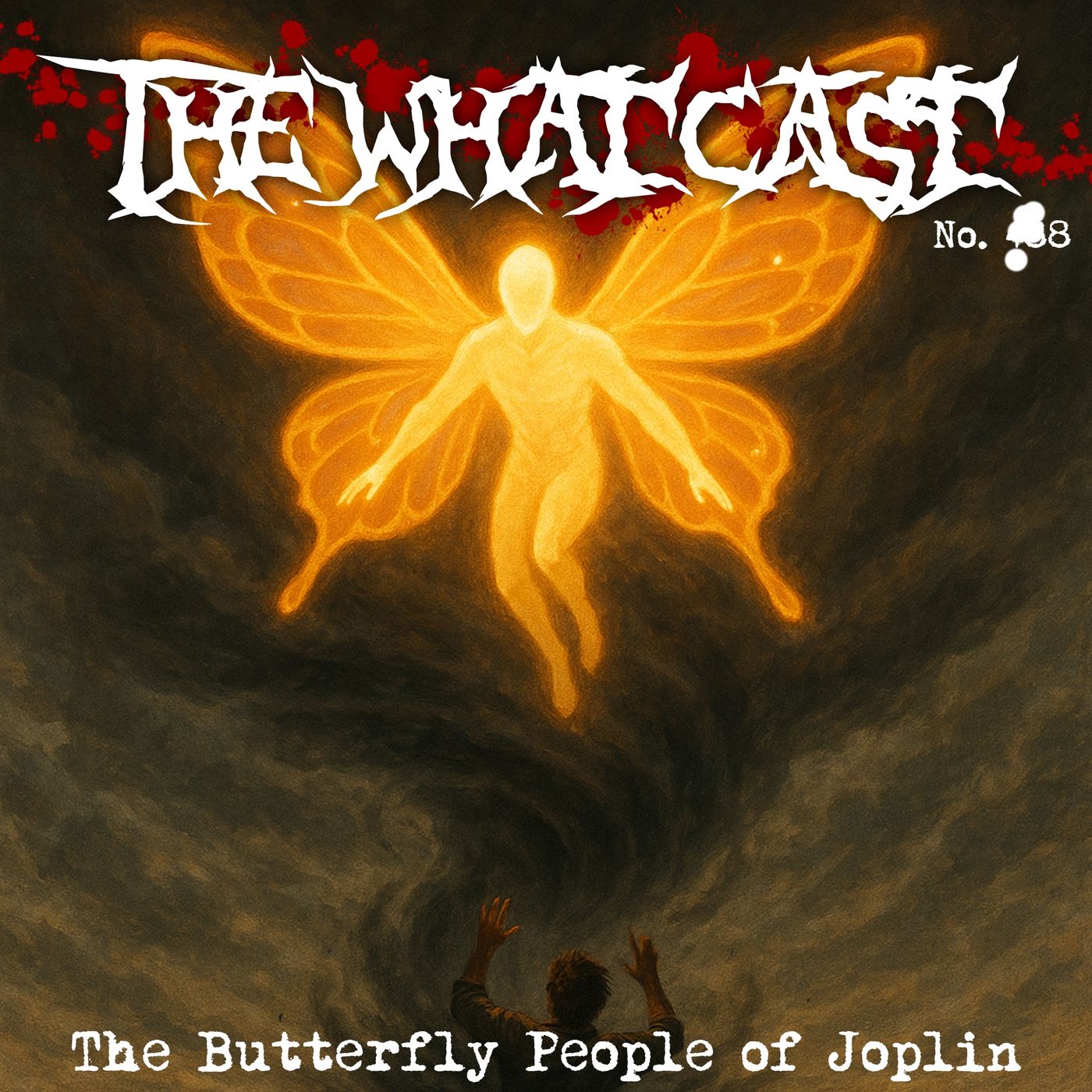 The What Cast #488 - The Butterfly People Of Joplin