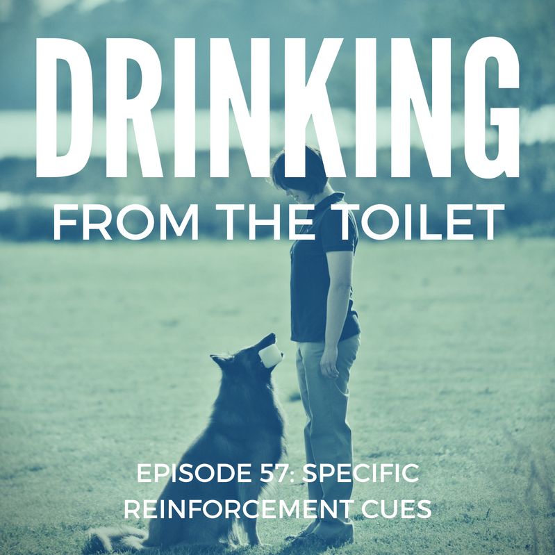 #57: Specific Reinforcement Cues