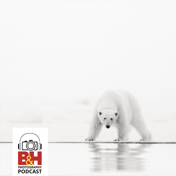 cover of episode The Beauty & Impact of Polar Photography, with Acacia Johnson & Jonas Paurell