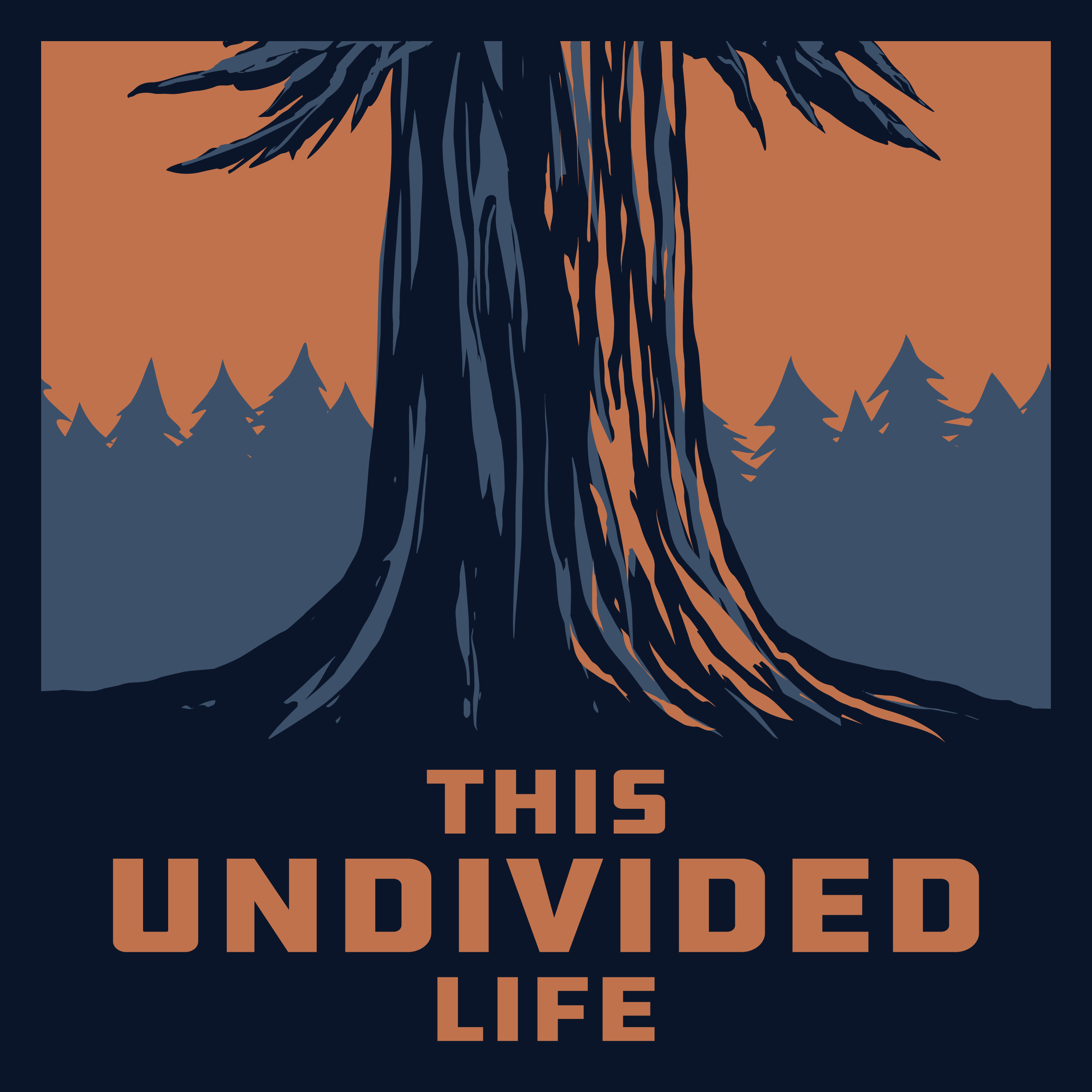 #115 When the Likes Aren't Enough