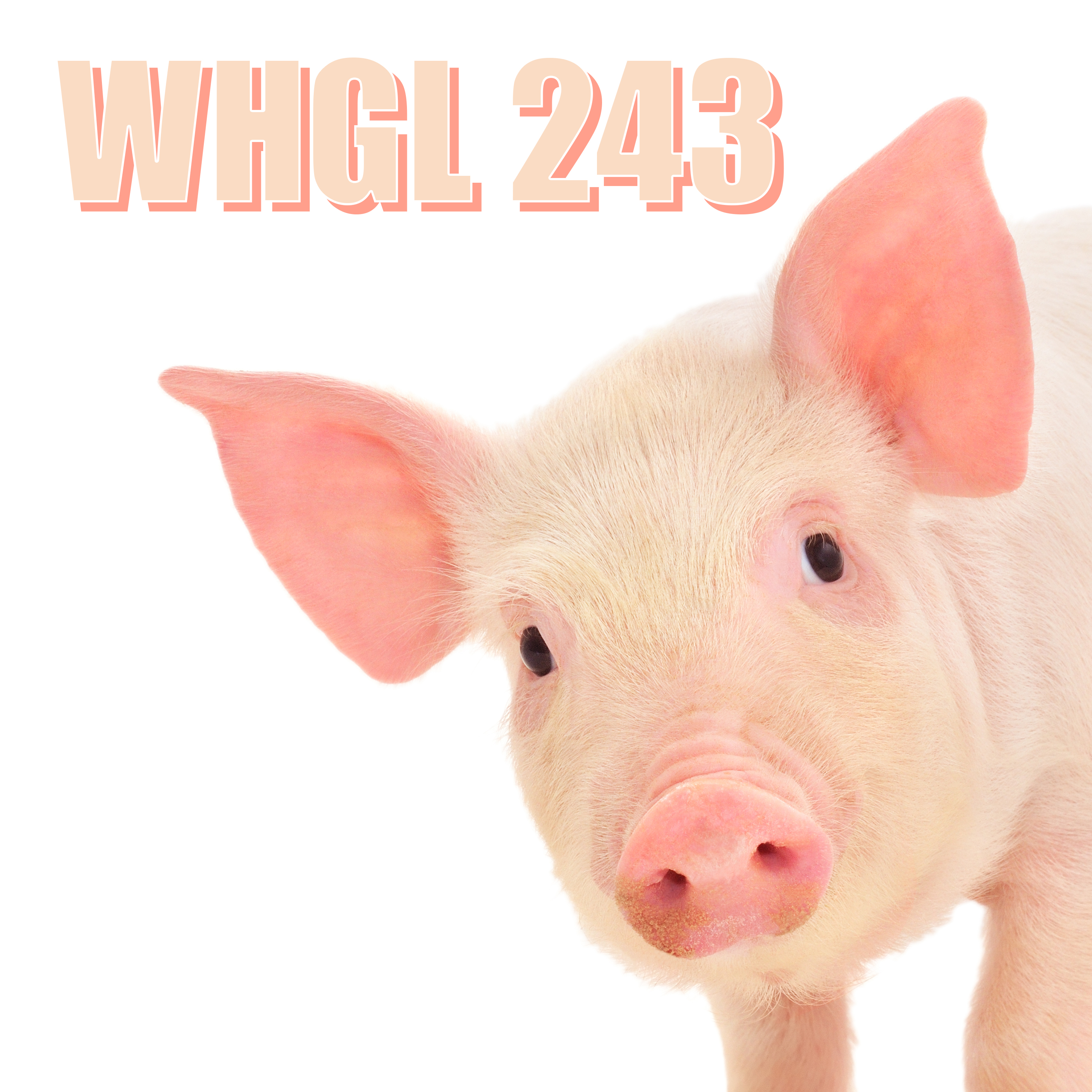 EPISODE 243: CRIME SMARTER