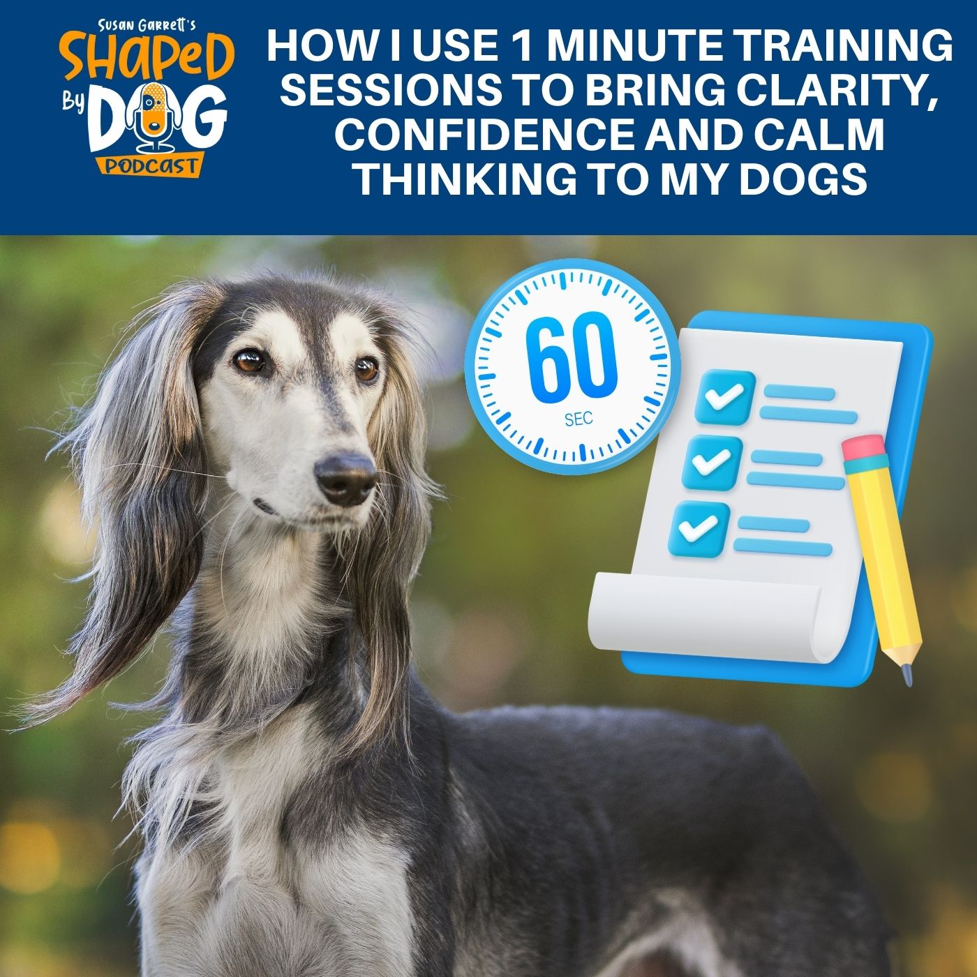 How I Use 1 Minute Training Sessions To Bring Clarity, Confidence And Calm Thinking To My Dogs #274