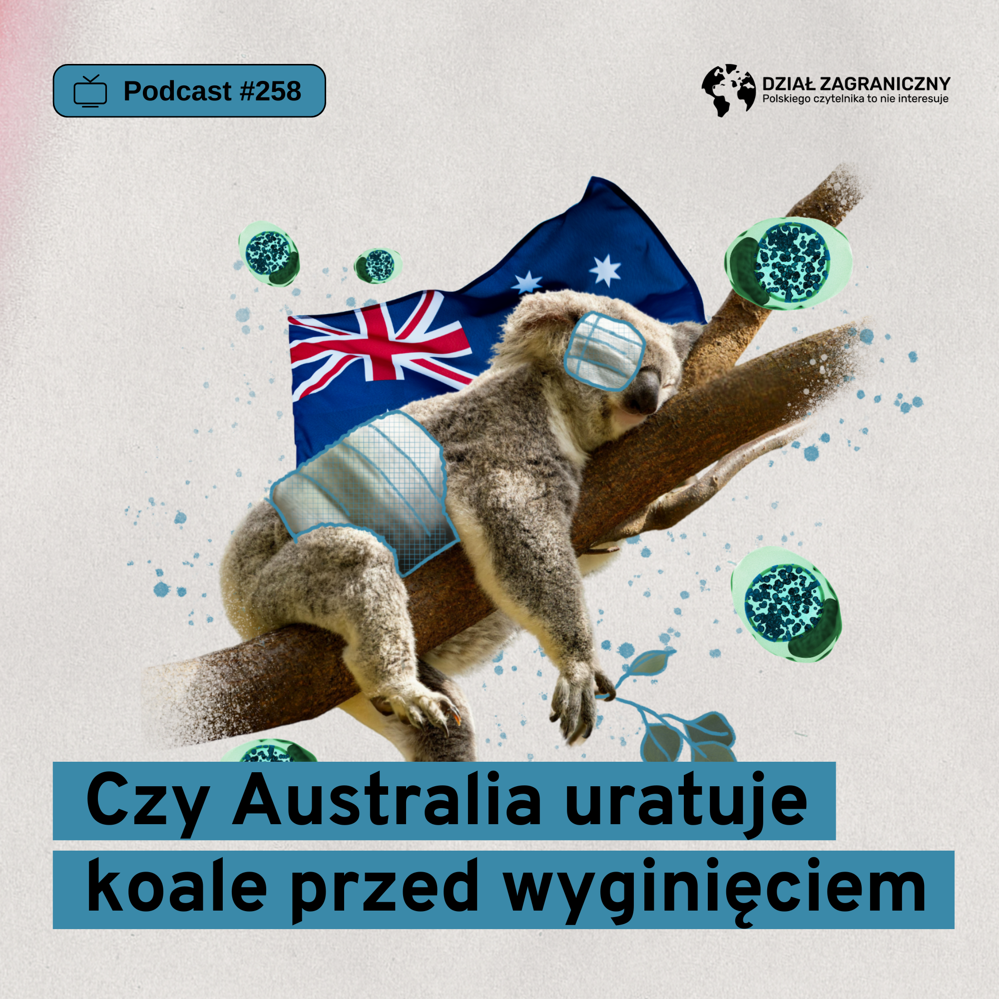 Czy Australia uratuje koale przed wyginięciem (Dział Zagraniczny Podcast#258) Czy Australia uratuje koale przed wyginięciem (Dział Zagraniczny Podcast#258)