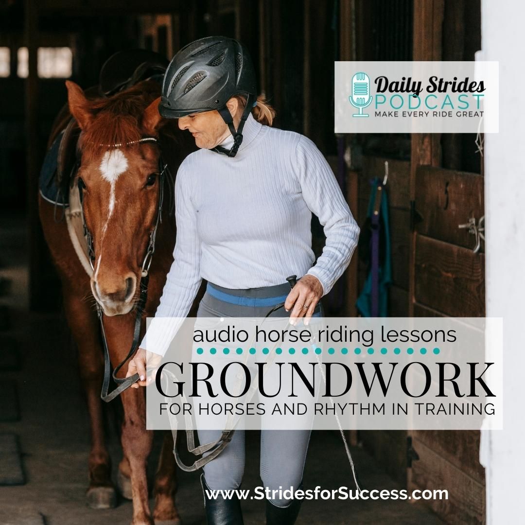 Groundwork for Horses and Rhythm in Training