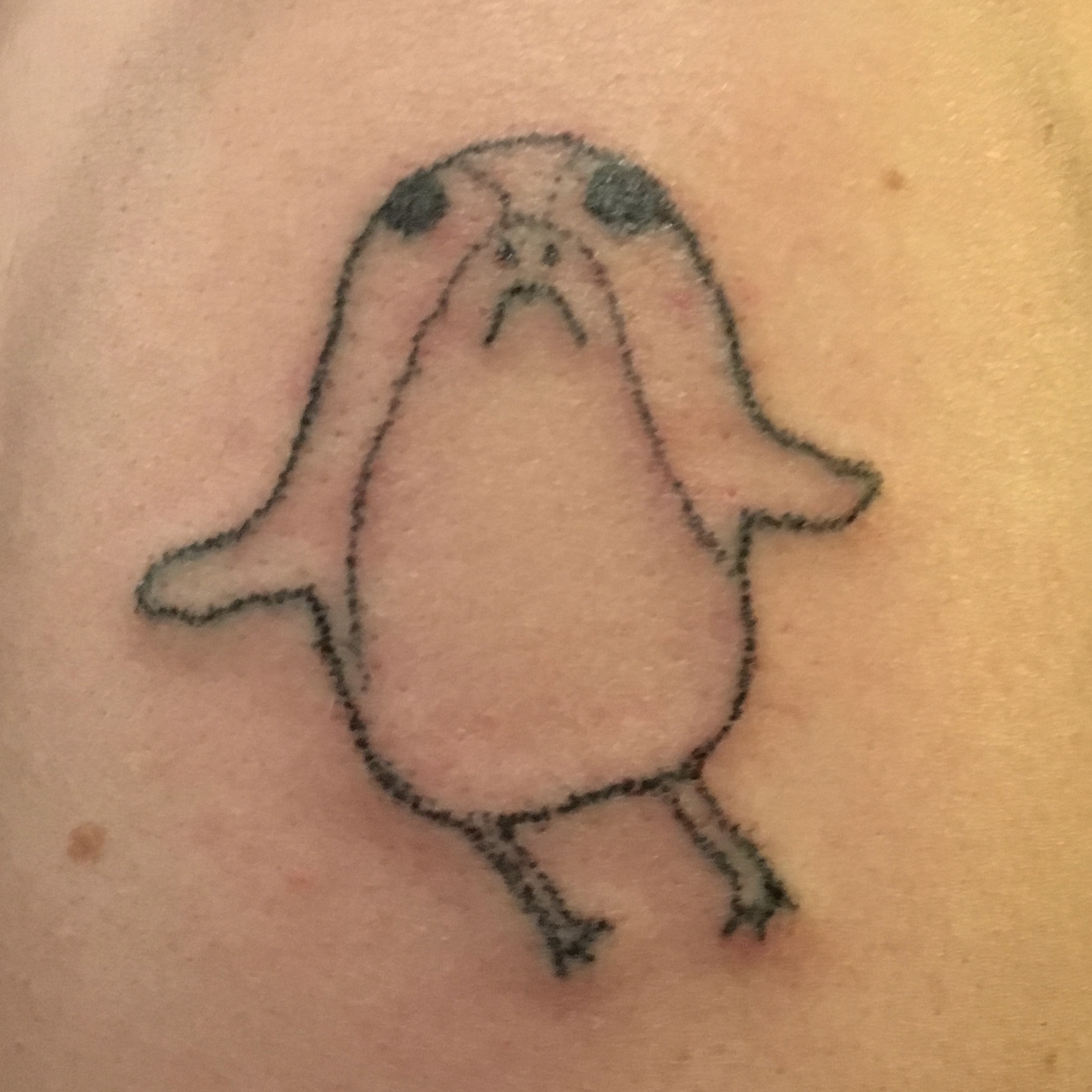 Porg Two: A Porgcast Plumcast