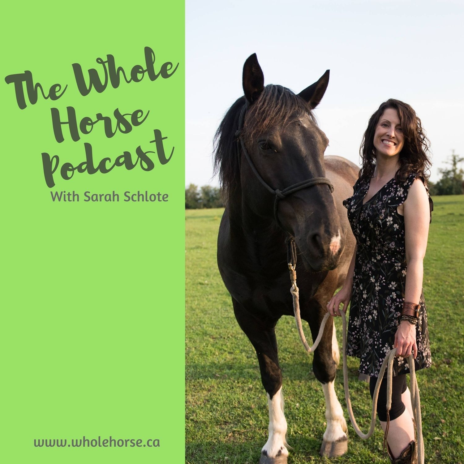 The Whole Horse Podcast with Alexa Linton
