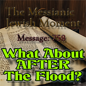 What About AFTER the Flood?