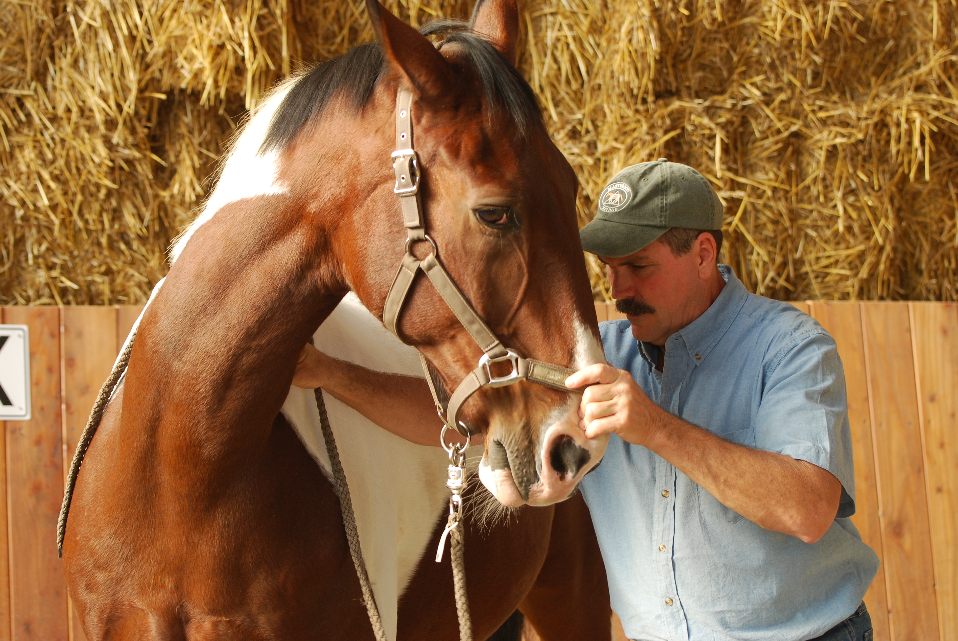 0840: Jim Masterson 3 - Jim Masterson Discusses the Way He Relates to Horses Are Not Just For Body Workers