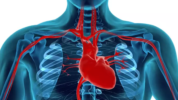 #13: How to Avoid Heart Attacks and Heart Disease (and build strong heart health.)