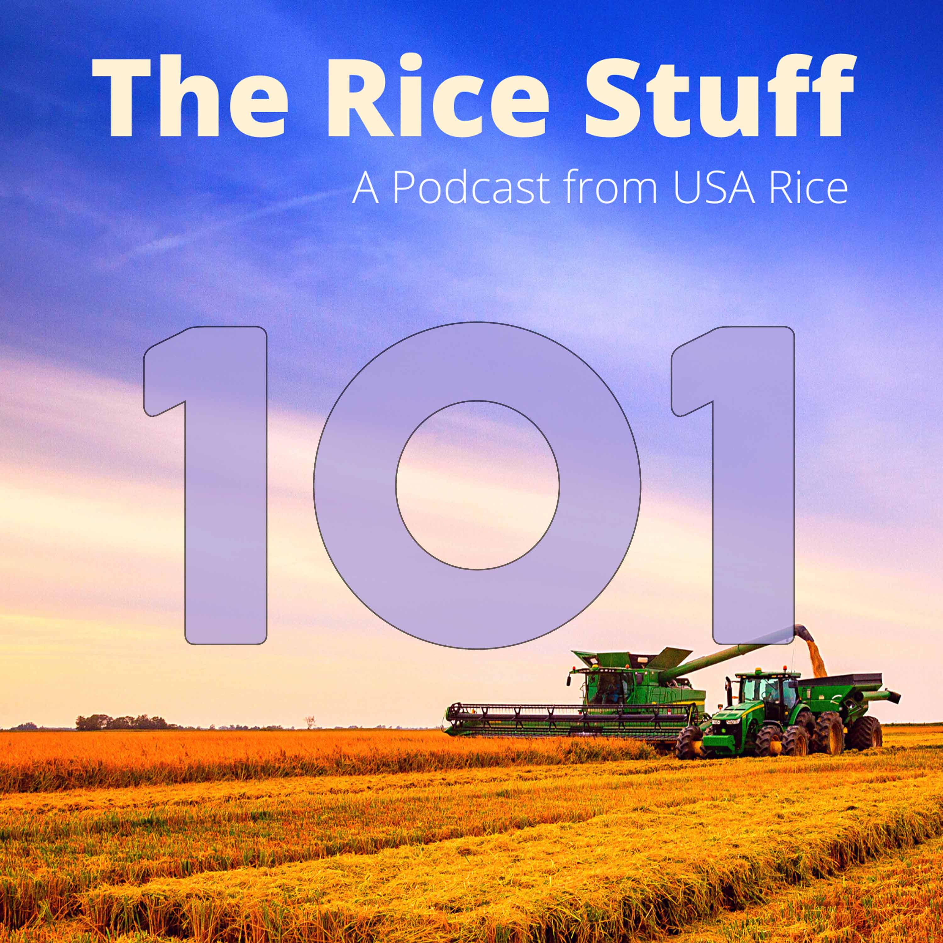 The Rice Stuff