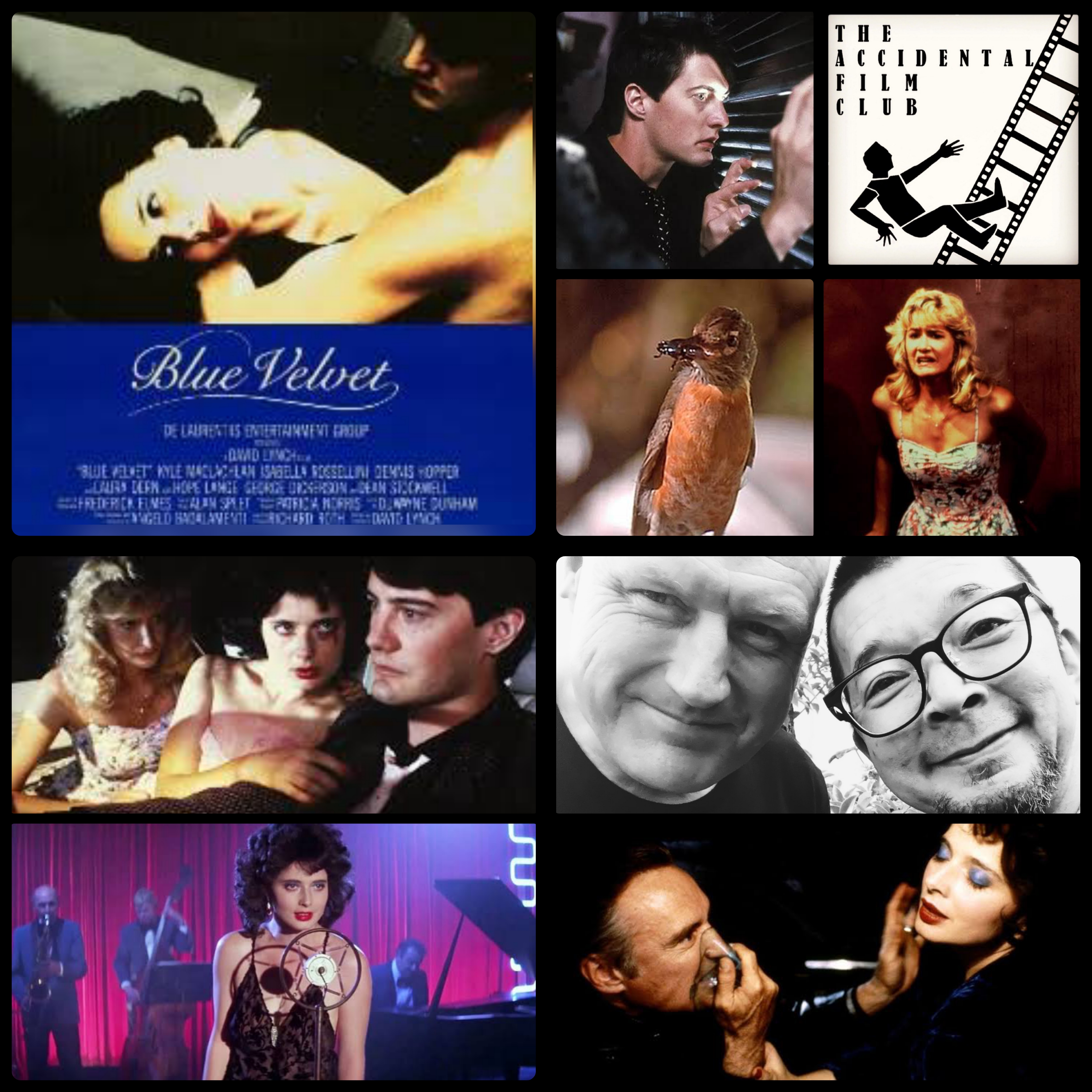 The Accidental Film Club