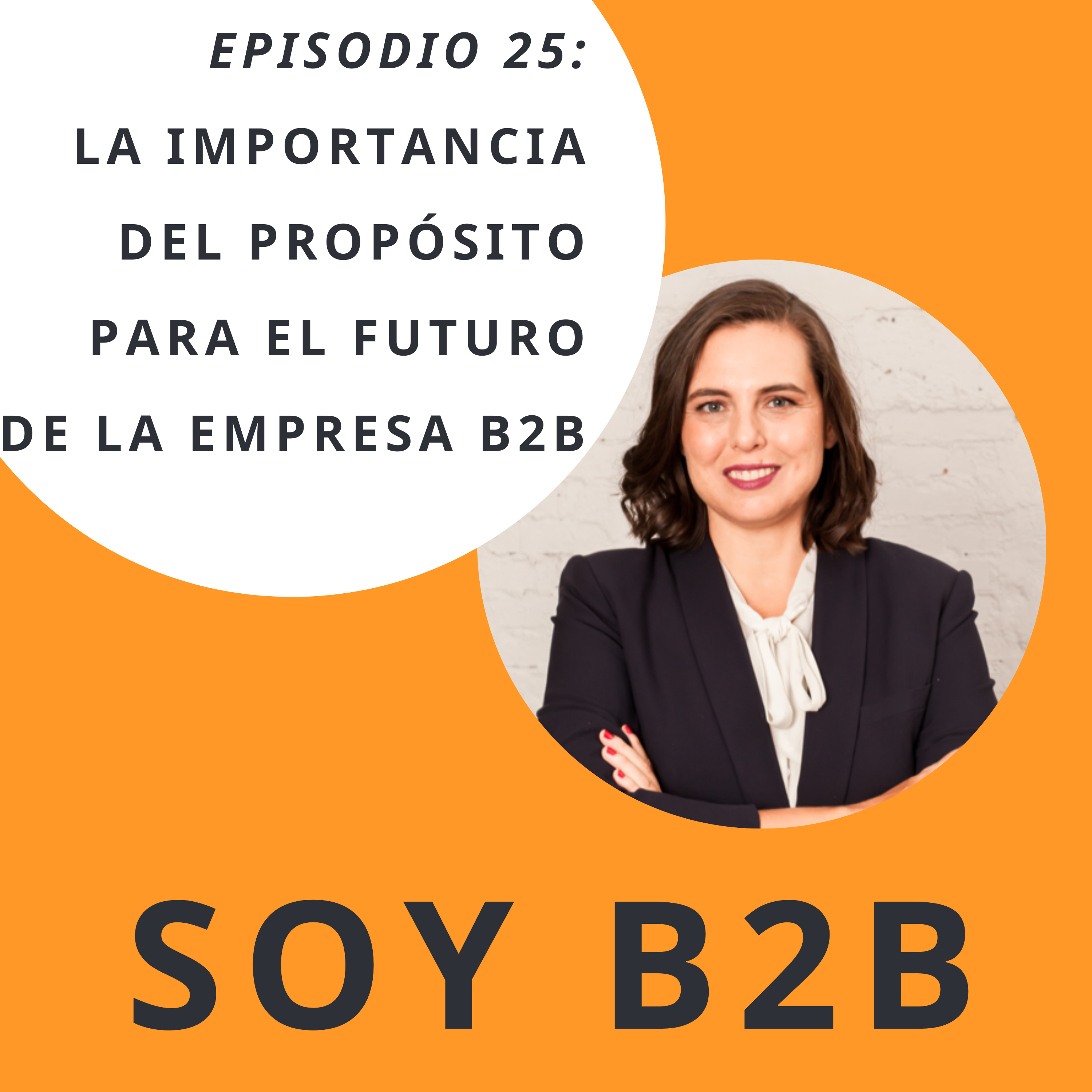 Soy B2B
