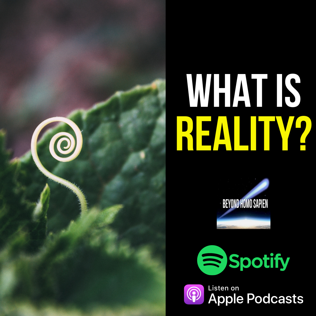The Nature Of Reality Explained