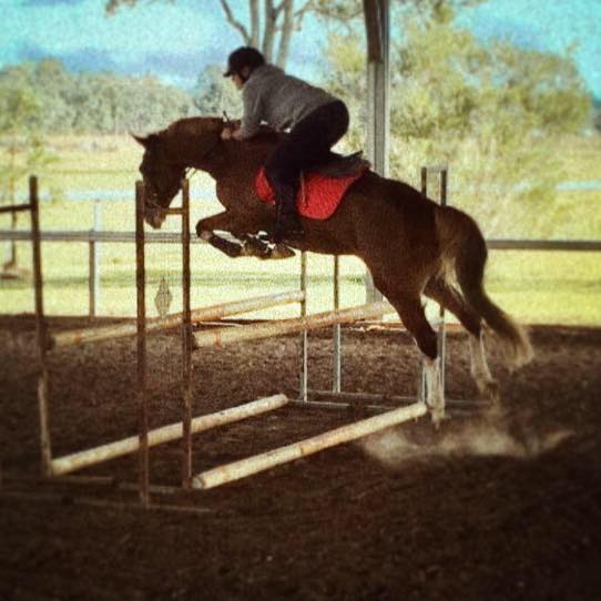 0842: Kyrie De Jong LC - Finding a Safe Zone With Horses, For Sufferers of Anxiety and Depression (Listeners’ Choice)