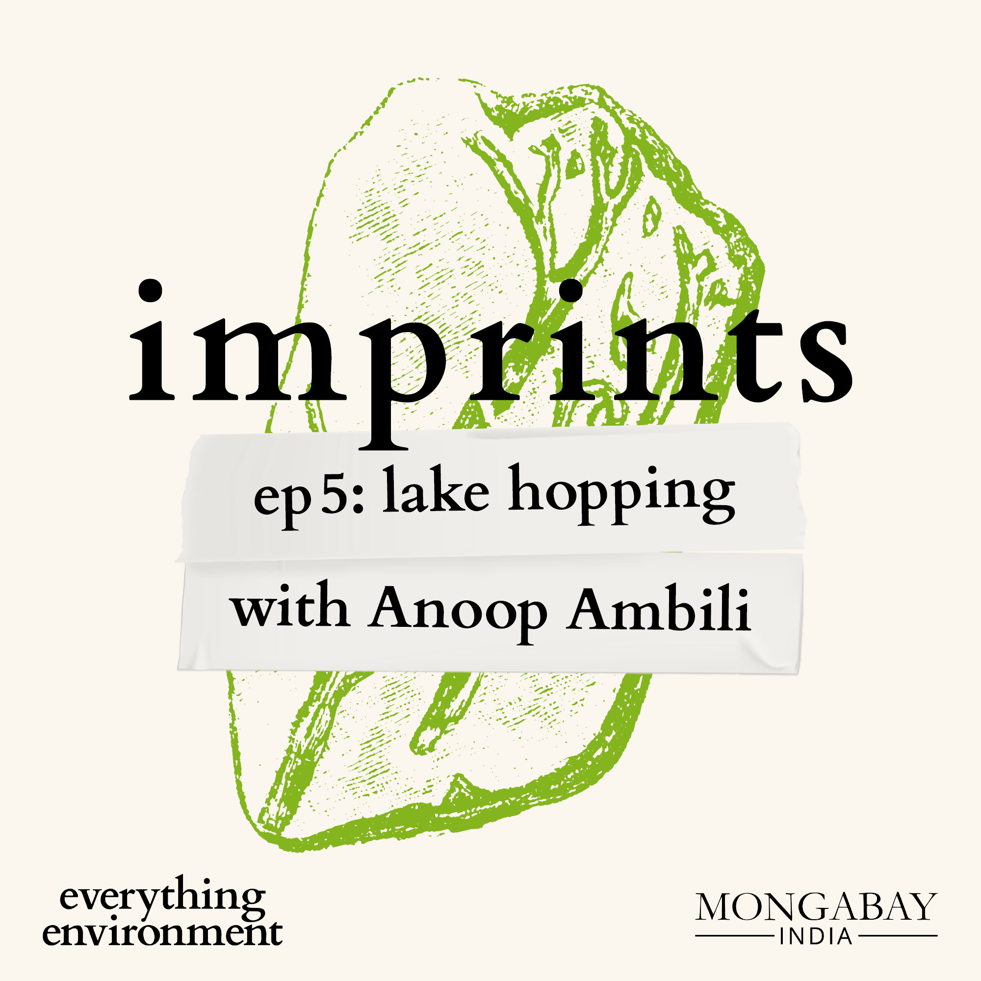 Everything Environment by Mongabay India