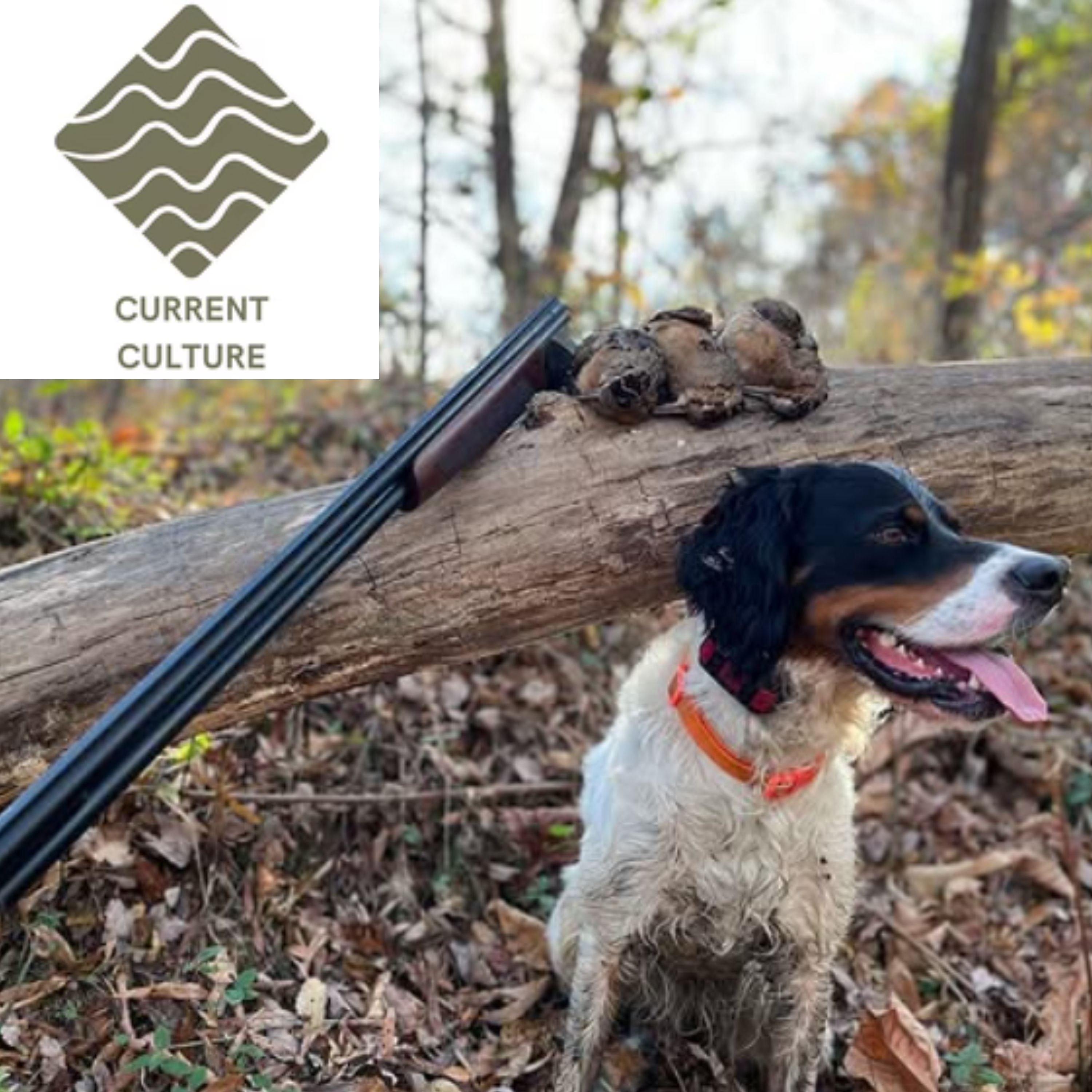 Off the Hook with MattyD