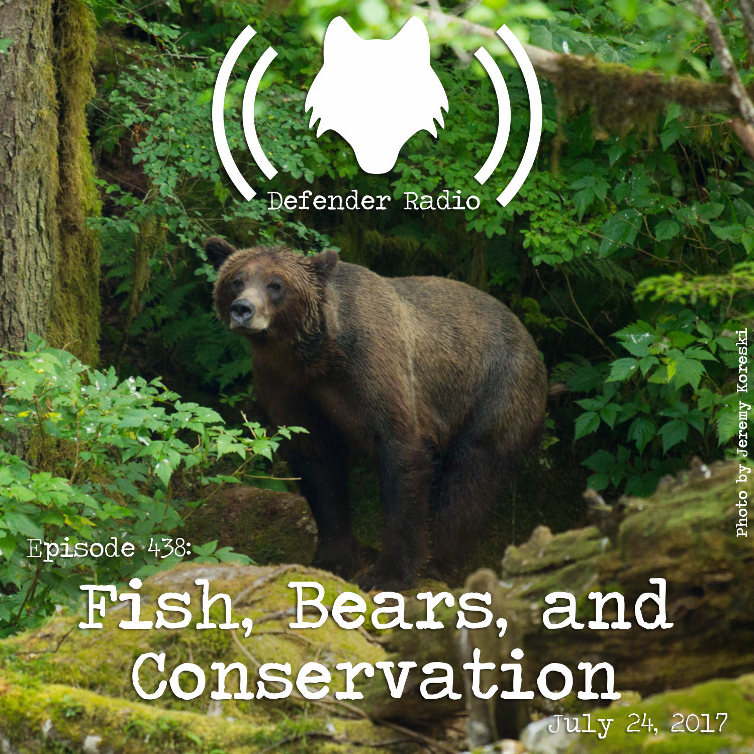 Defender Radio and The Switch