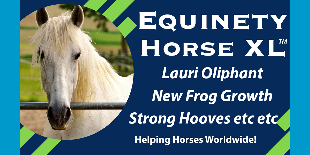 Team Equinety Podcast