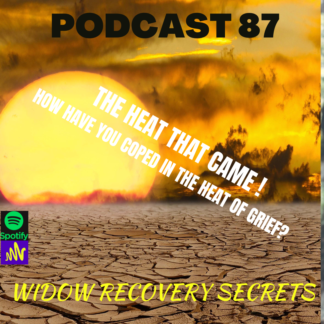 Podcast 87 'The Heat that came' How have you coped in the heat of Grief?