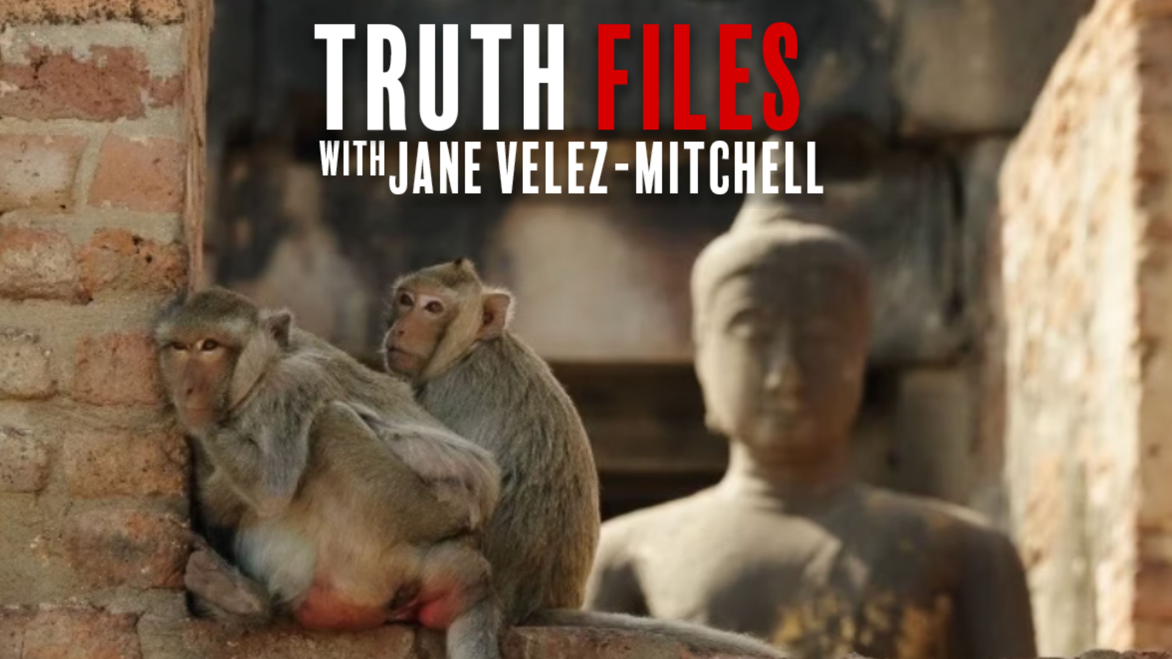 Buddhist Temples Challenged to Go Vegan — Truth Files with Jane Velez-Mitchell