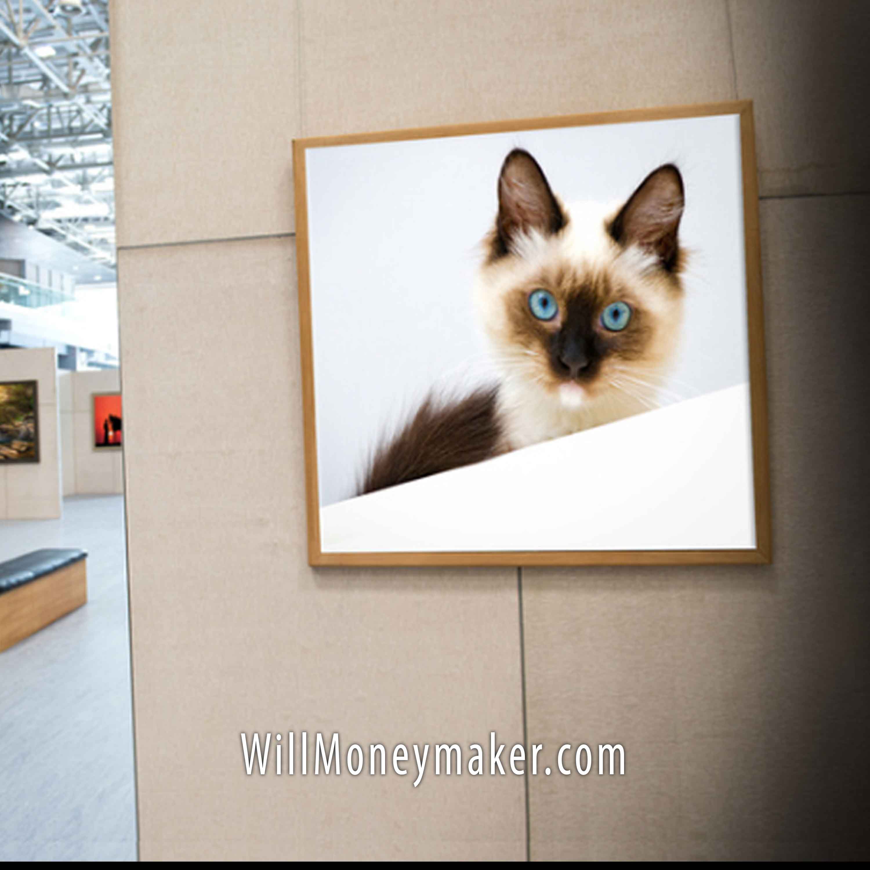 WM-541: How to Design a Professional Portfolio | Photography Clips Podcast