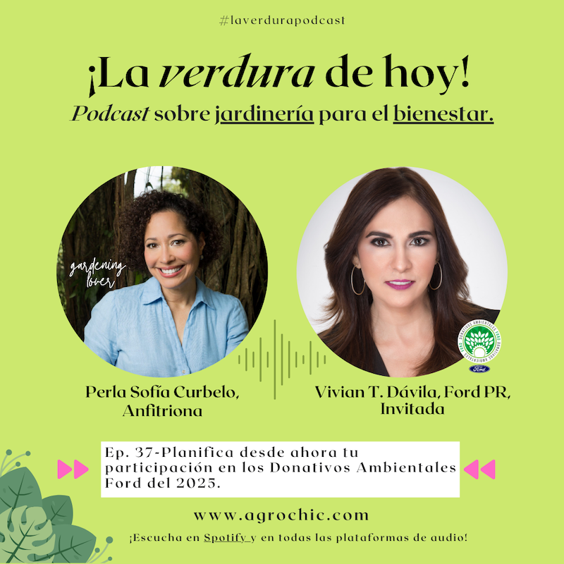 E. 37 - Planifica desde ahora tu participación en los Donativos Ambientales Ford.