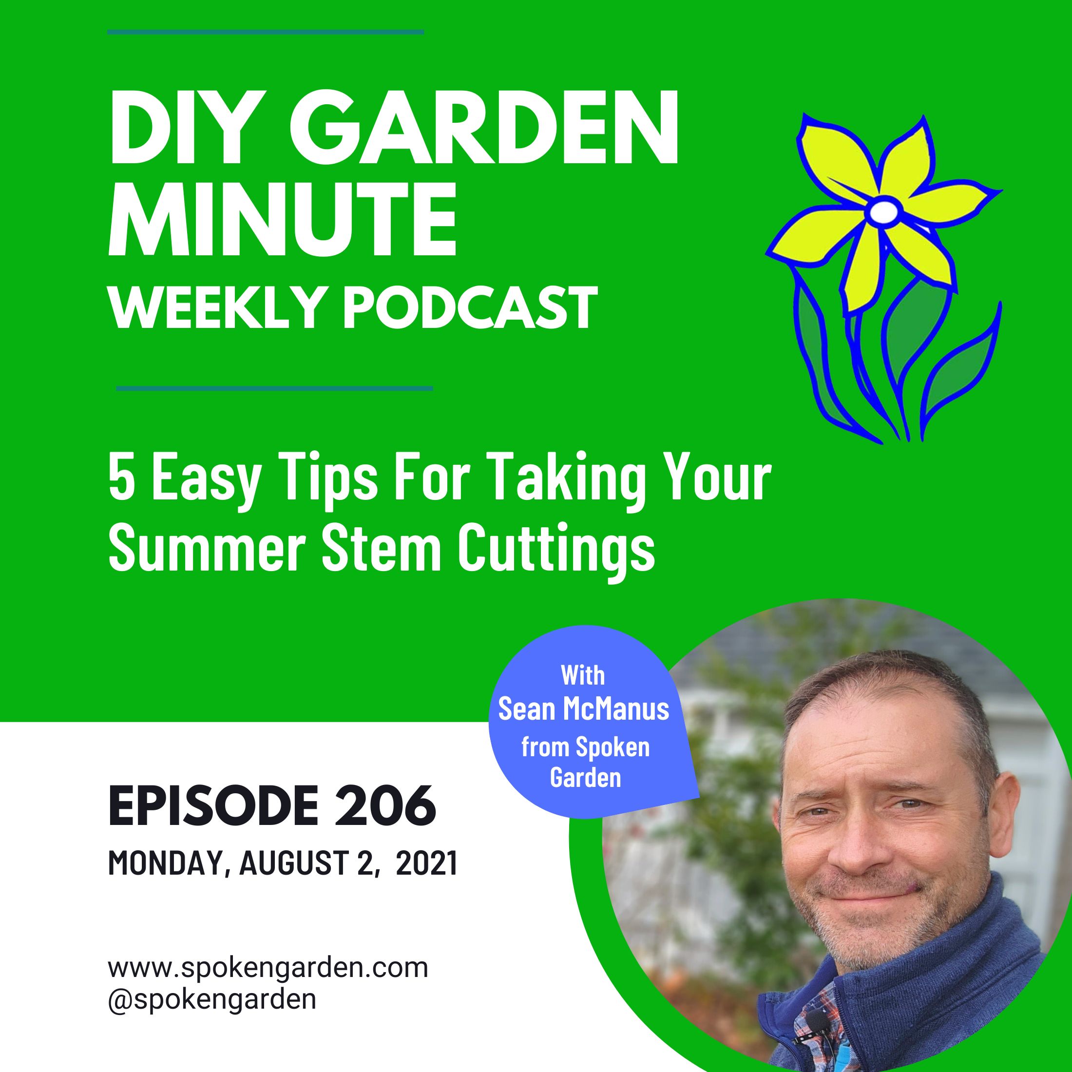 5 Easy Tips For Taking Your Summer Stem Cuttings - DIY Garden Minute Ep.206