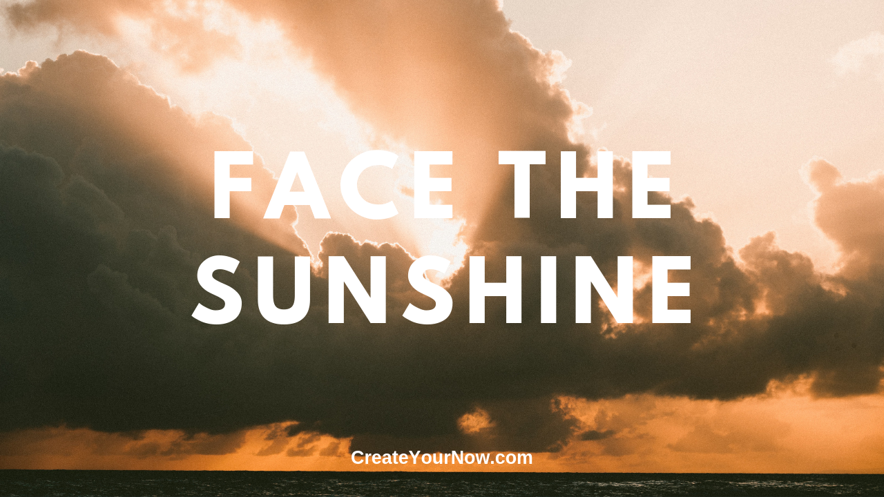 1564 Face the Sunshine