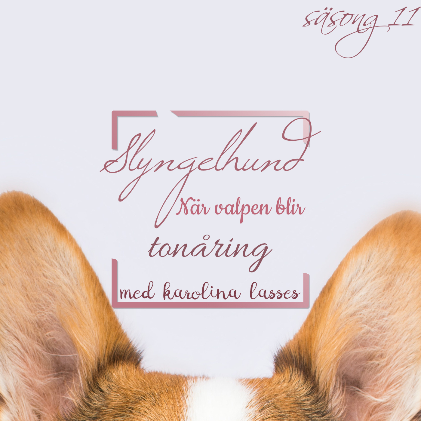 Hundpodden Vår Bästa Vän