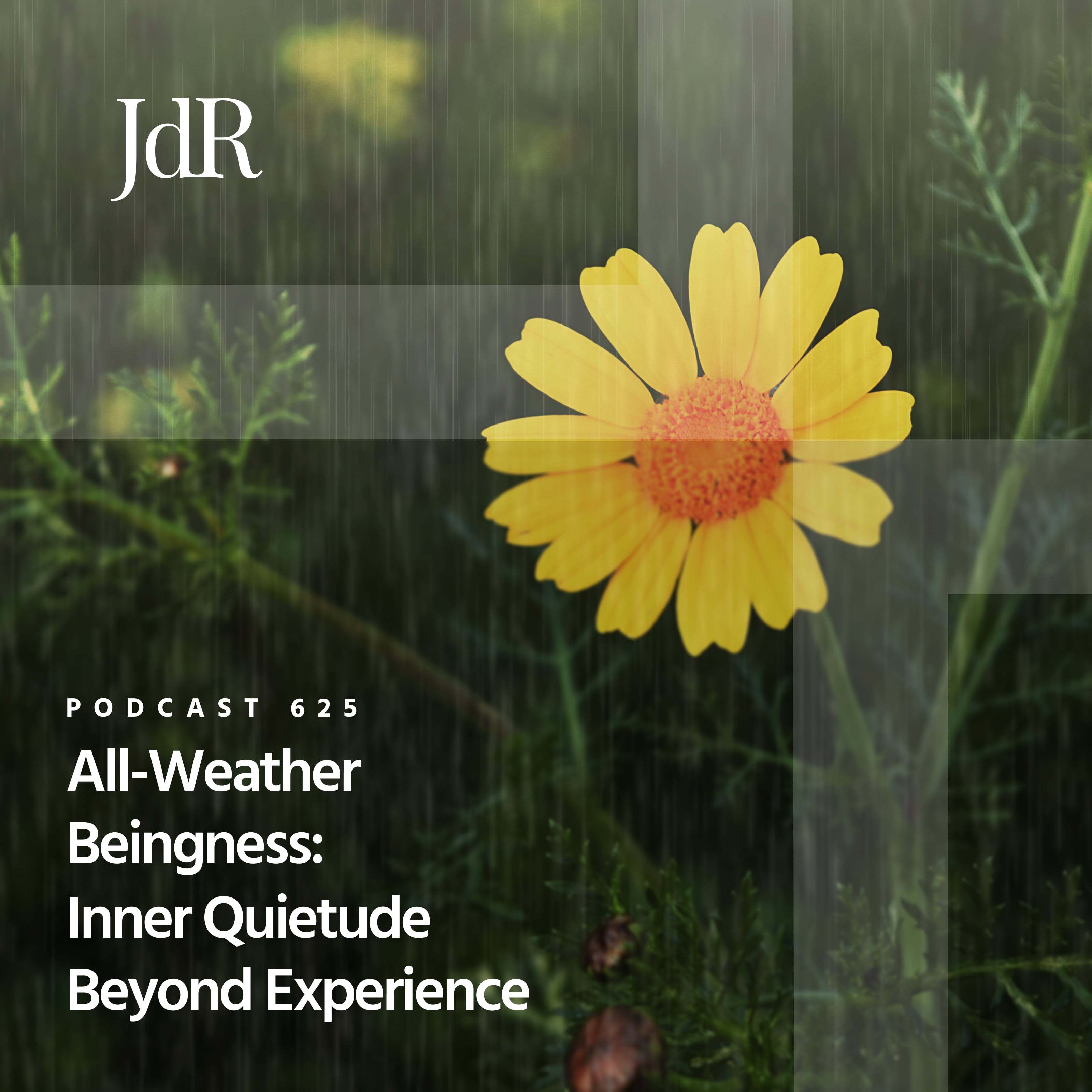 JdR Podcast 625 - All-Weather Beingness: Inner Quietude Beyond Experience