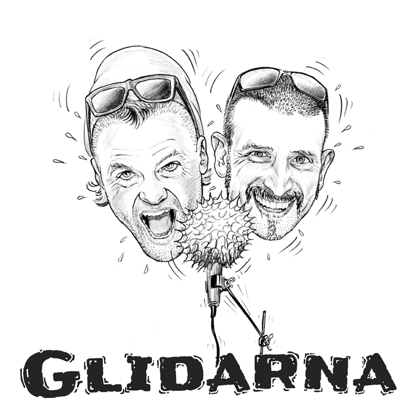 Glidarna