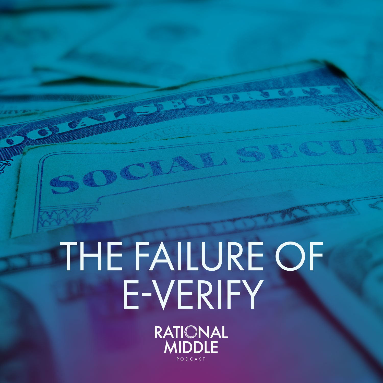 E-Verify's Verifiable Failure of the American Workforce