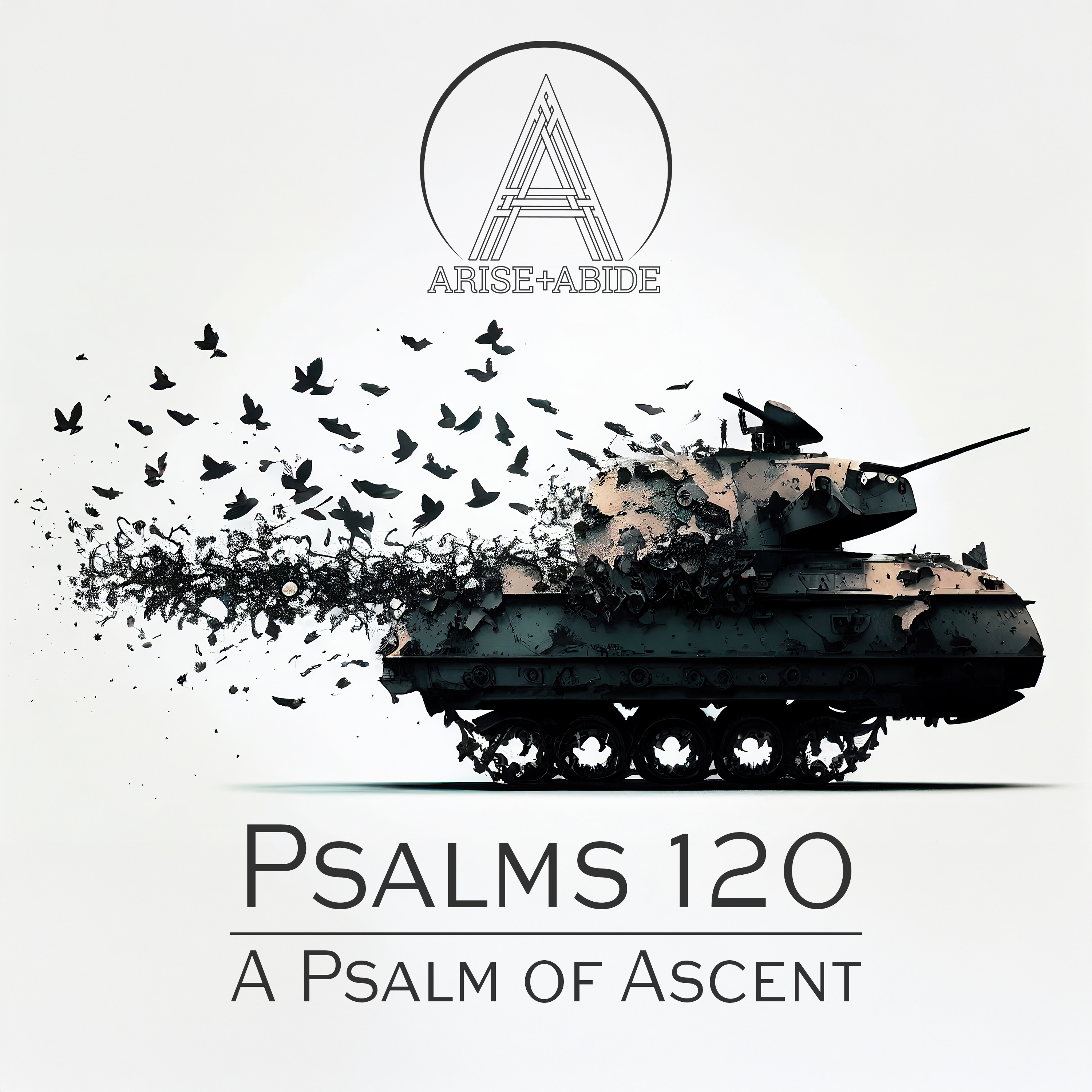 Arise and Abide