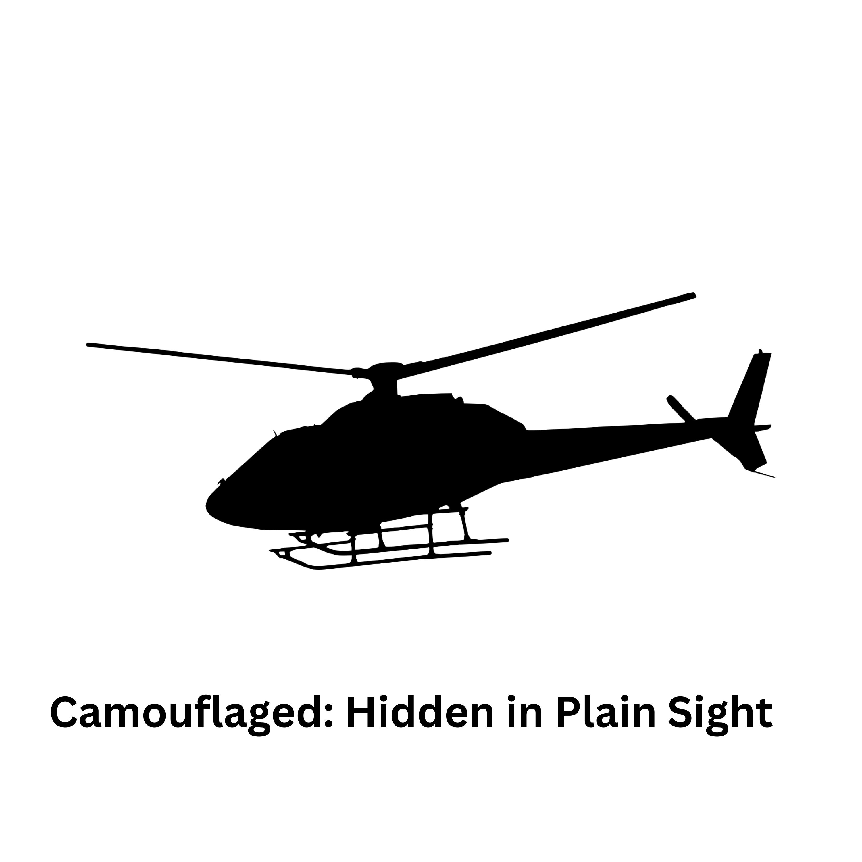 Camouflaged: Hidden in Plain Sight, ep 2