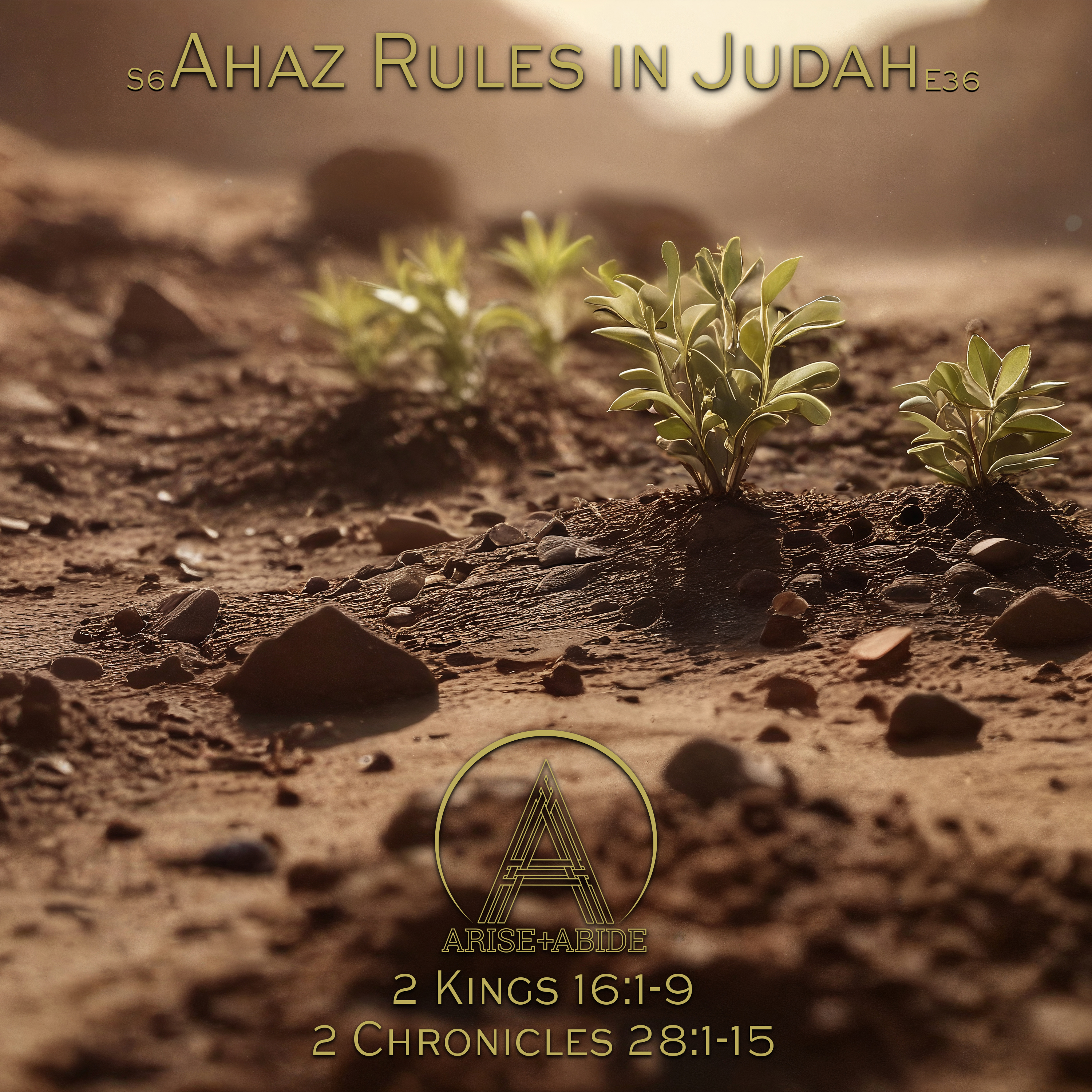 Arise and Abide