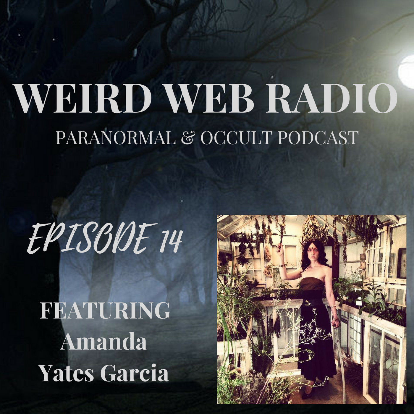 Weird Web Radio