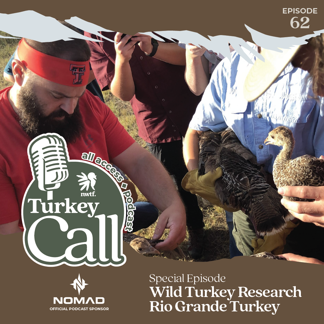 Turkey Call All Access