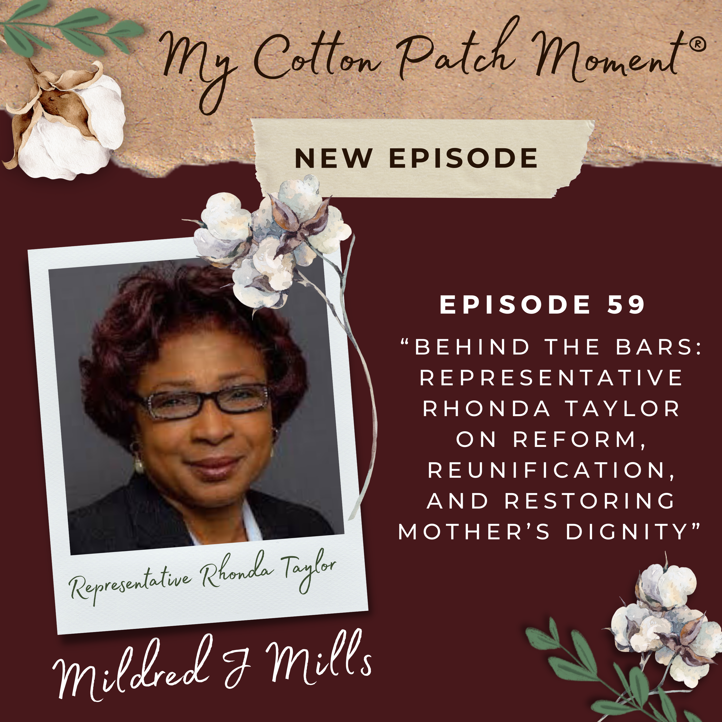 My Cotton Patch Moment