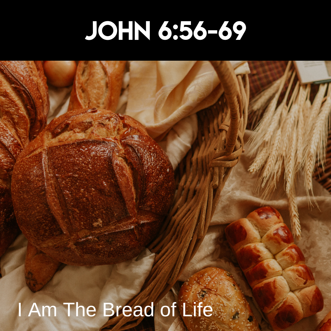 Sermon - 8/25/24