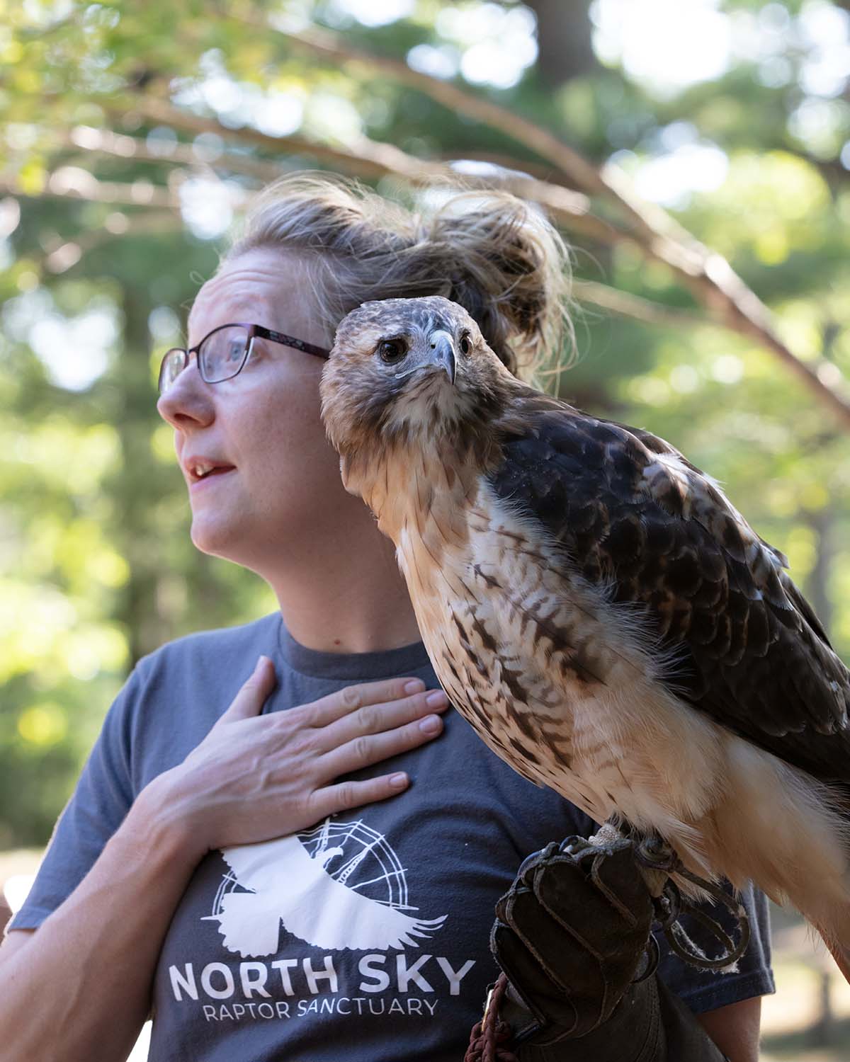 Raptors and Raptor Rehabilitation With North Sky Raptor Sanctuary