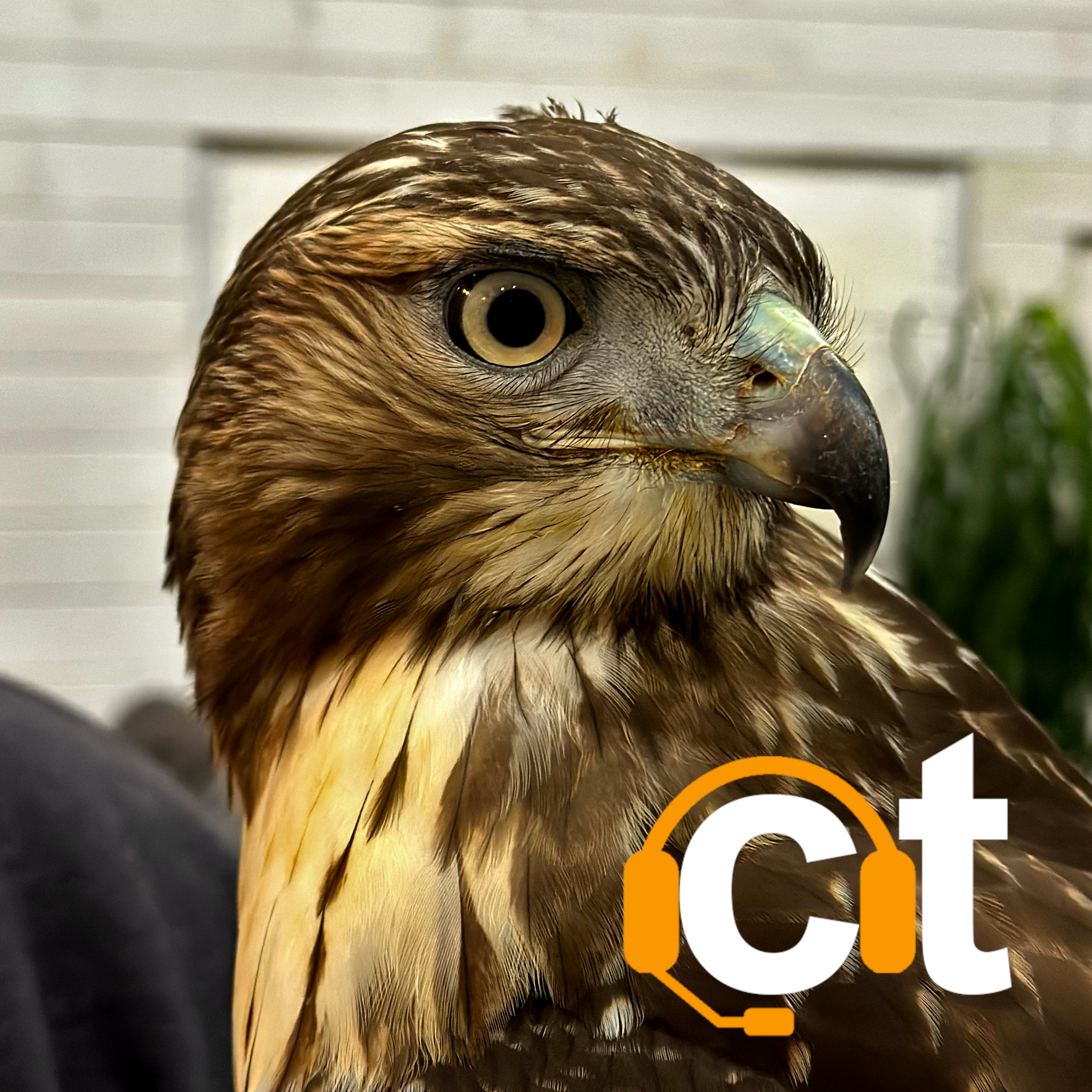 Ep 21: Shaun Smith: Falconry and Hunting with Veterans